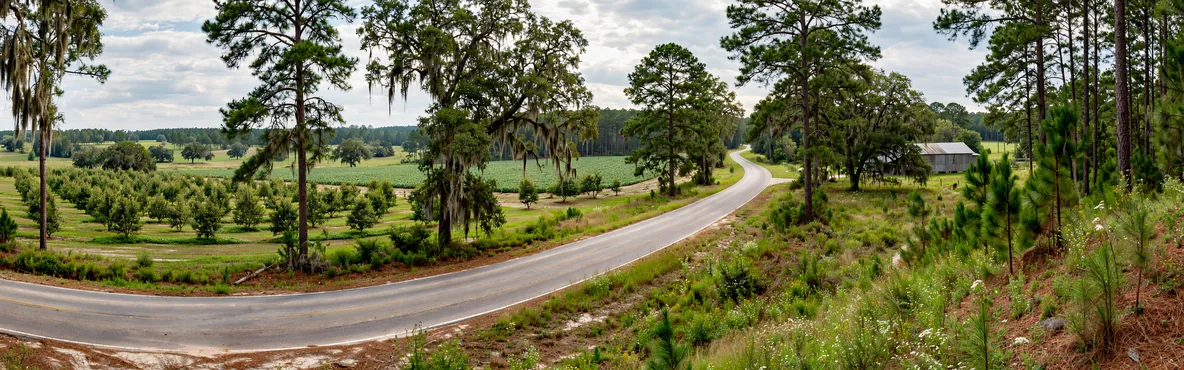 Hit the Road: Exciting Road Trips from Fitzgerald, GA